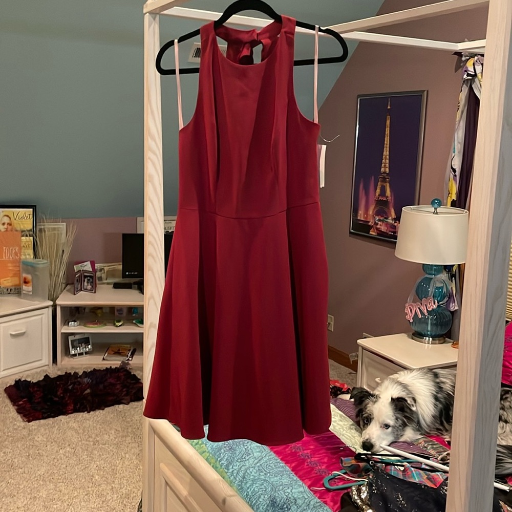 Gal Meets Glam Collection, Burgundy, formal dress, Size 6.